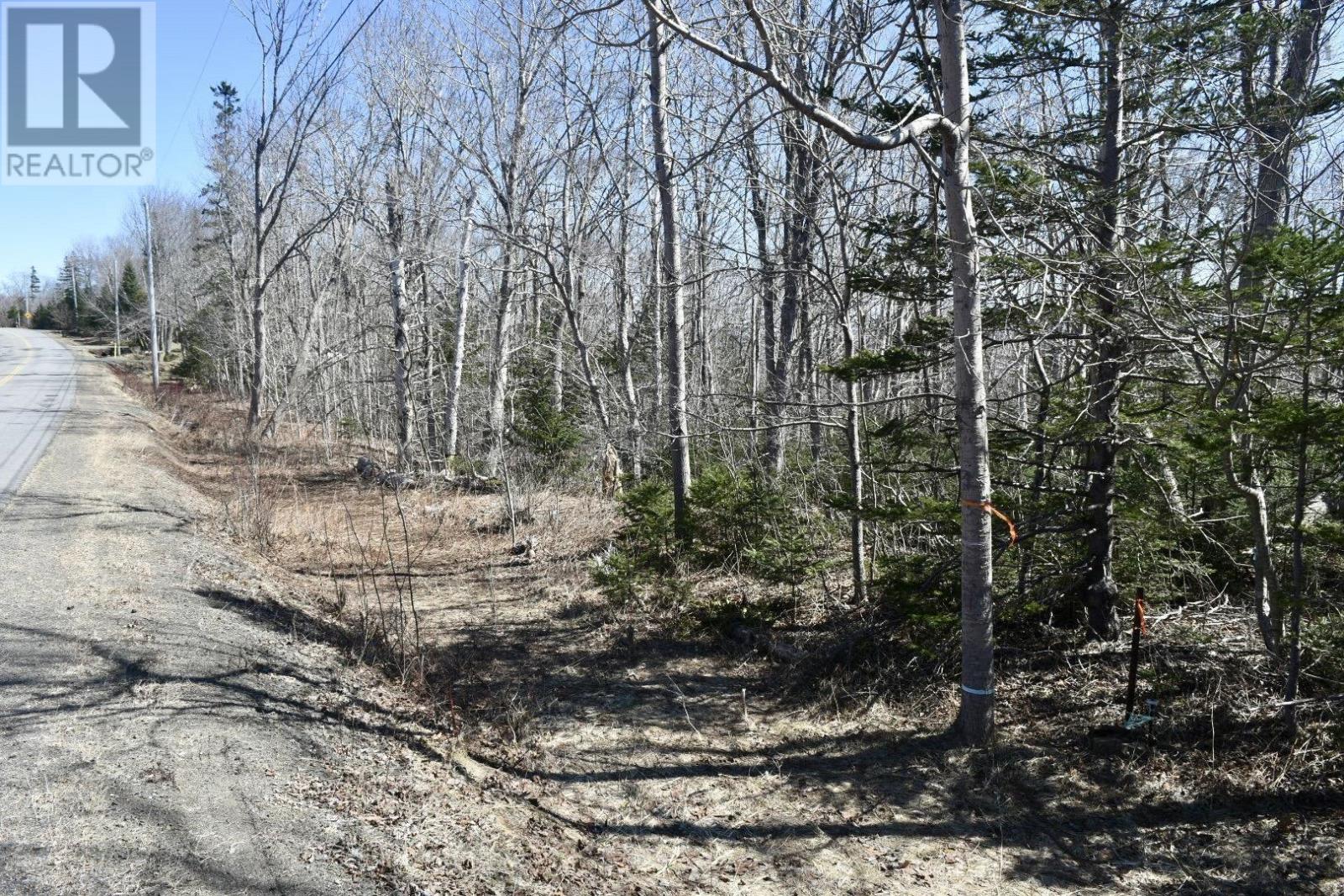 Brow Of Mountain Road, Brow Of The Mountain, Nova Scotia  B0P 1J0 - Photo 14 - 202406532