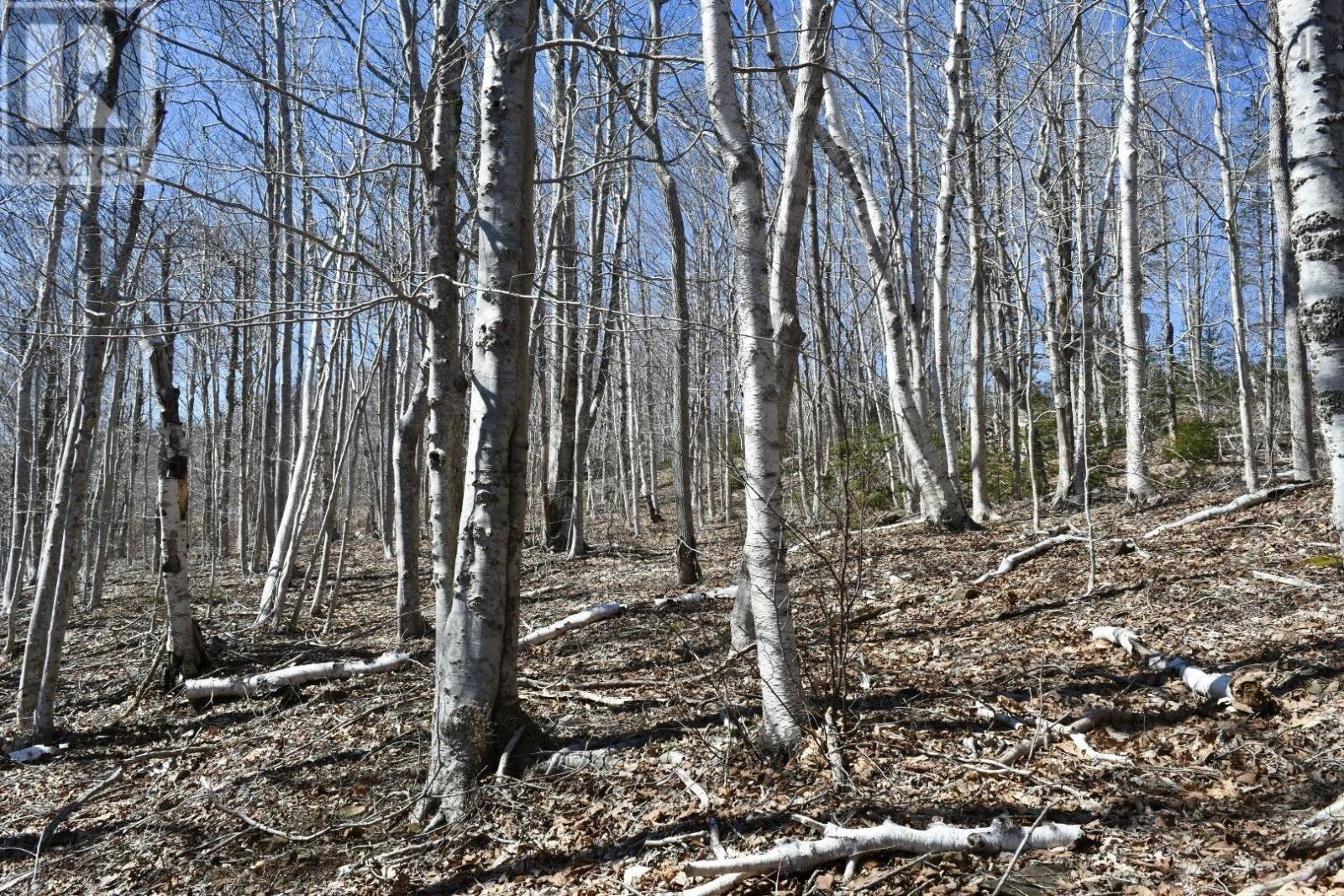 Brow Of Mountain Road, Brow Of The Mountain, Nova Scotia  B0P 1J0 - Photo 18 - 202406532
