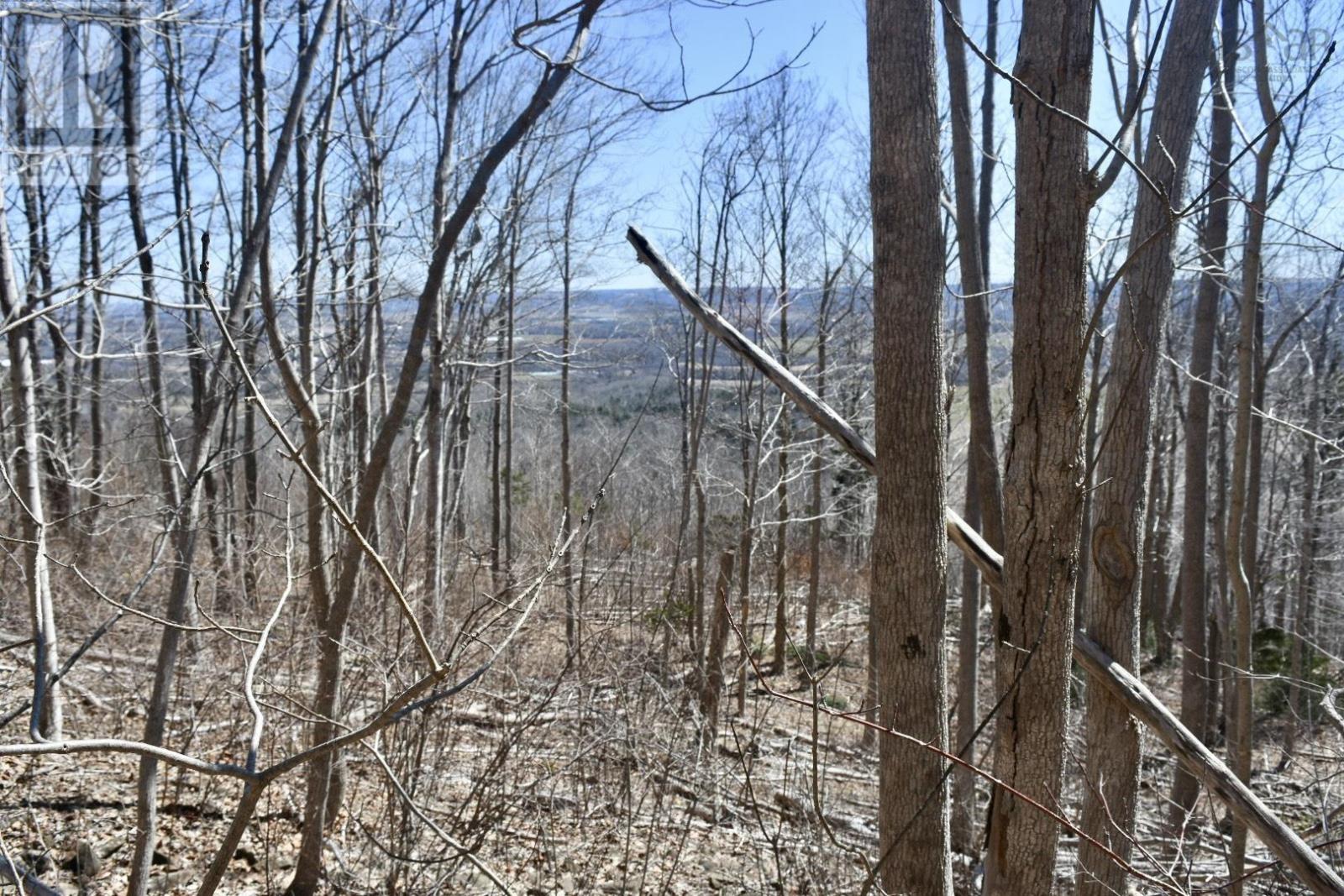Brow Of Mountain Road, Brow Of The Mountain, Nova Scotia  B0P 1J0 - Photo 21 - 202406532