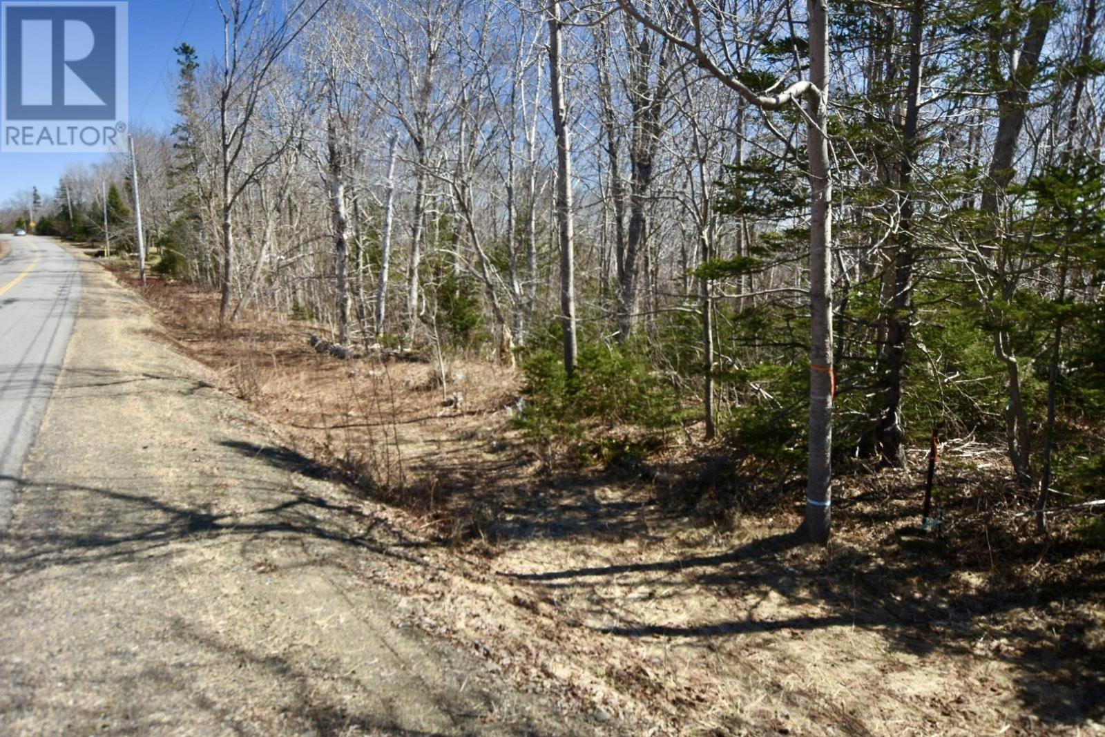 Brow Of Mountain Road, Brow Of The Mountain, Nova Scotia  B0P 1J0 - Photo 24 - 202406532