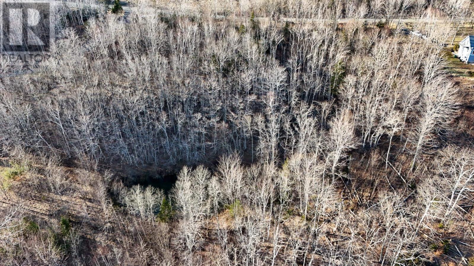 Brow Of Mountain Road, Brow Of The Mountain, Nova Scotia  B0P 1J0 - Photo 7 - 202406532