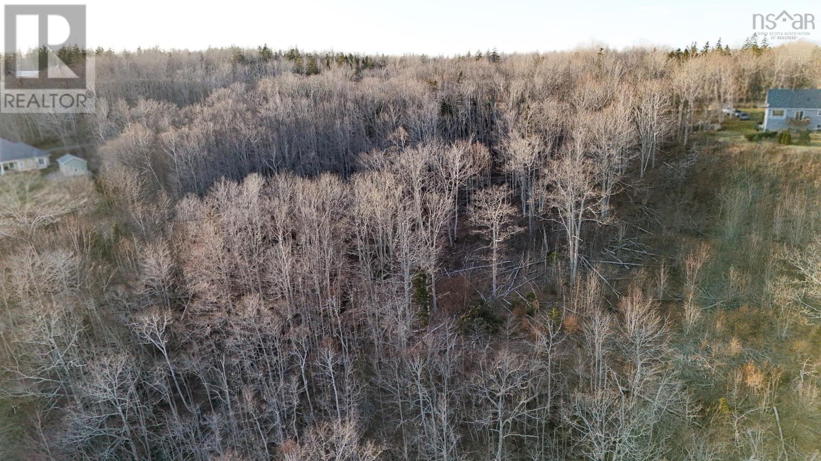 Brow Of Mountain Road, Brow Of The Mountain, Nova Scotia  B0P 1J0 - Photo 8 - 202406532