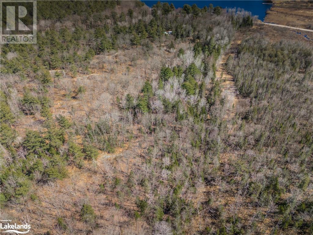 1445 Reay Road E, Gravenhurst, Ontario  P1P 1R3 - Photo 44 - 40564509