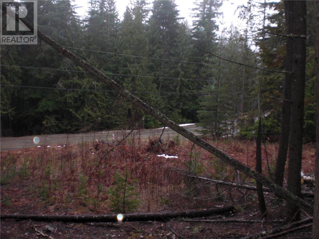 Lot 107 Vickers Trail, Anglemont, British Columbia  V0E 1A0 - Photo 2 - 10309299