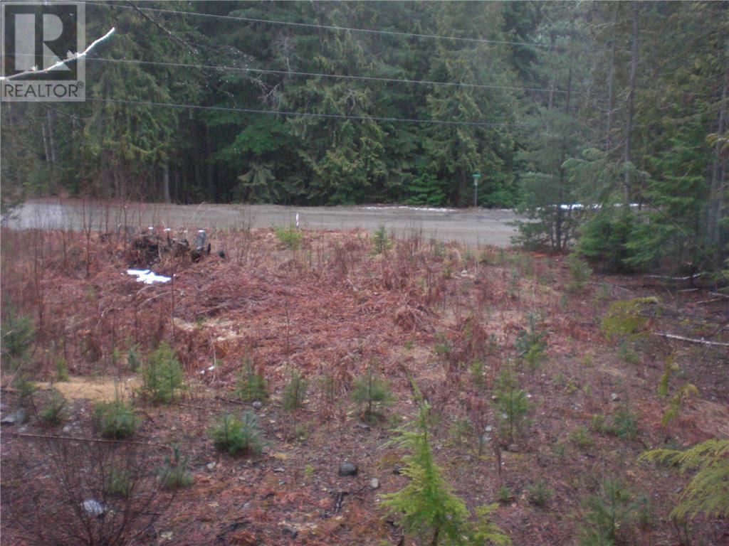 Lot 107 Vickers Trail, Anglemont, British Columbia  V0E 1A0 - Photo 3 - 10309299