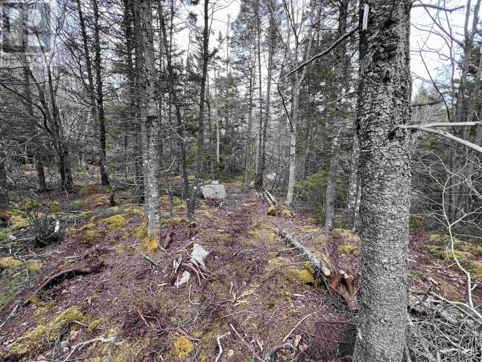 Scotts Point Road, Block A, East Dover, Nova Scotia  B3Z 3W2 - Photo 5 - 202406012