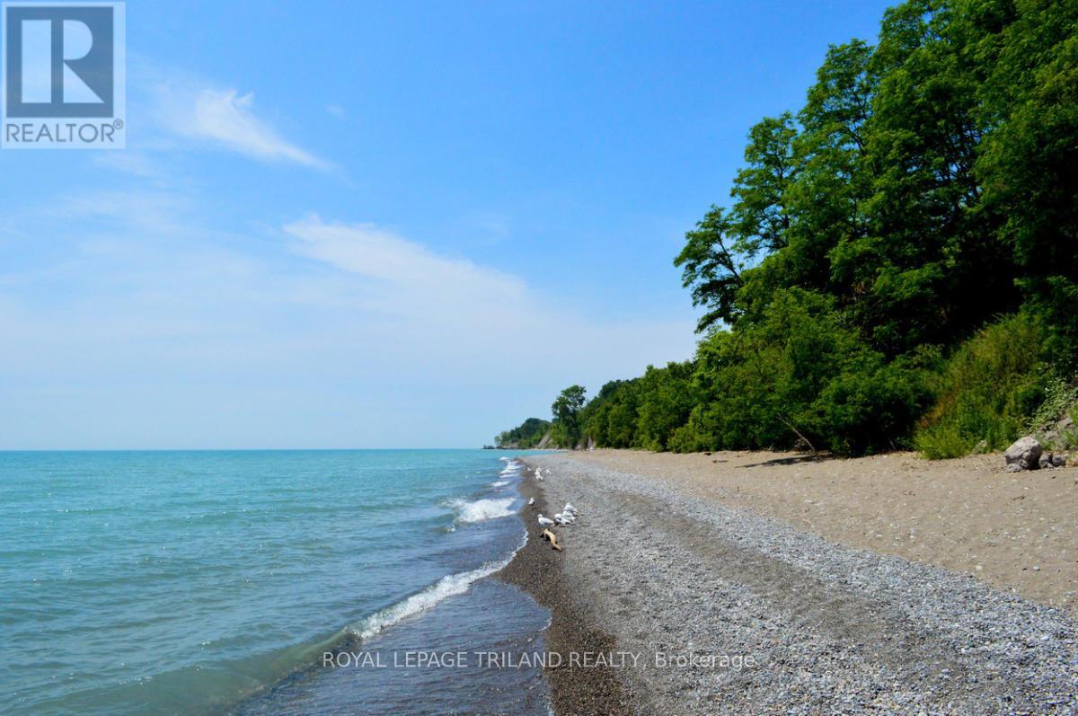 22182 Douglas Line, West Elgin, Ontario  N0L 2C0 - Photo 26 - X8215964