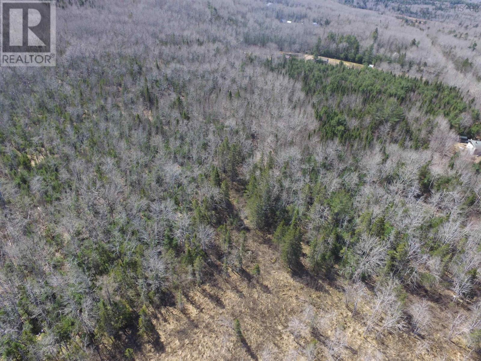 Lot Black River Road, Black River, Nova Scotia  B4P 2R1 - Photo 4 - 202406595