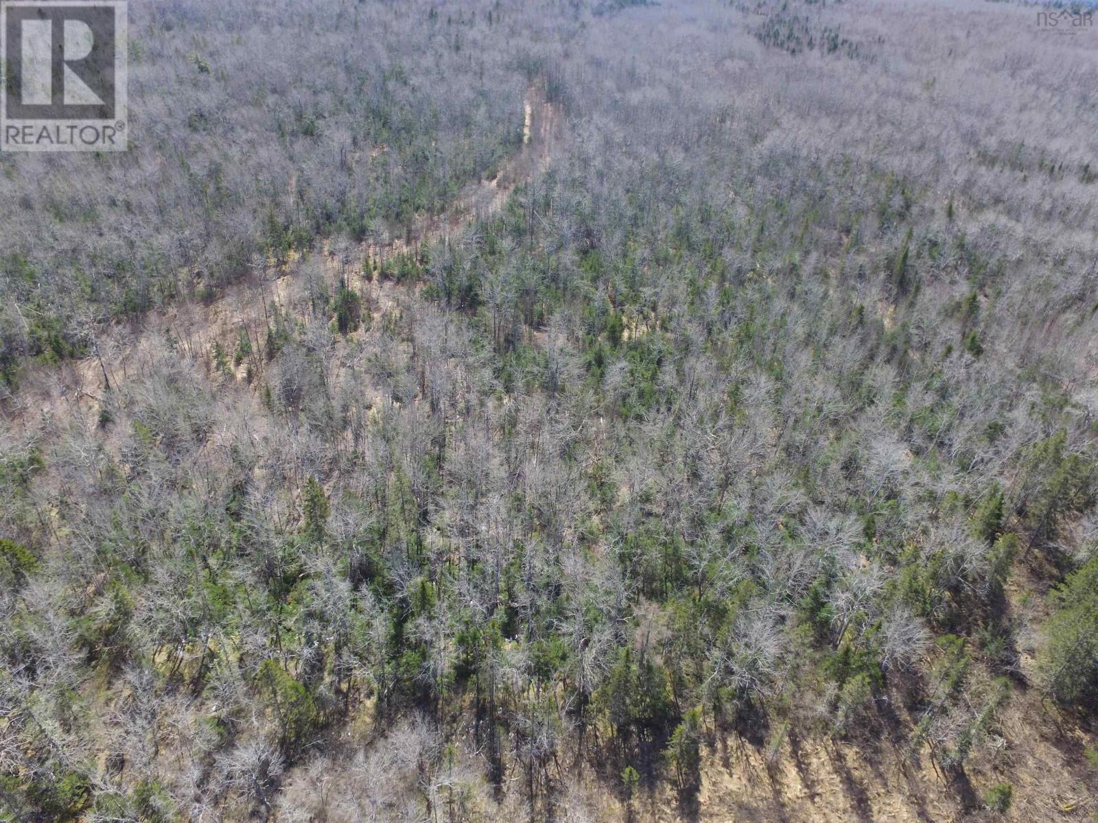 Lot Black River Road, Black River, Nova Scotia  B4P 2R1 - Photo 5 - 202406595
