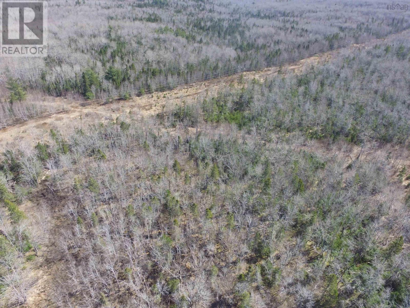 Lot Black River Road, Black River, Nova Scotia  B4P 2R1 - Photo 6 - 202406595