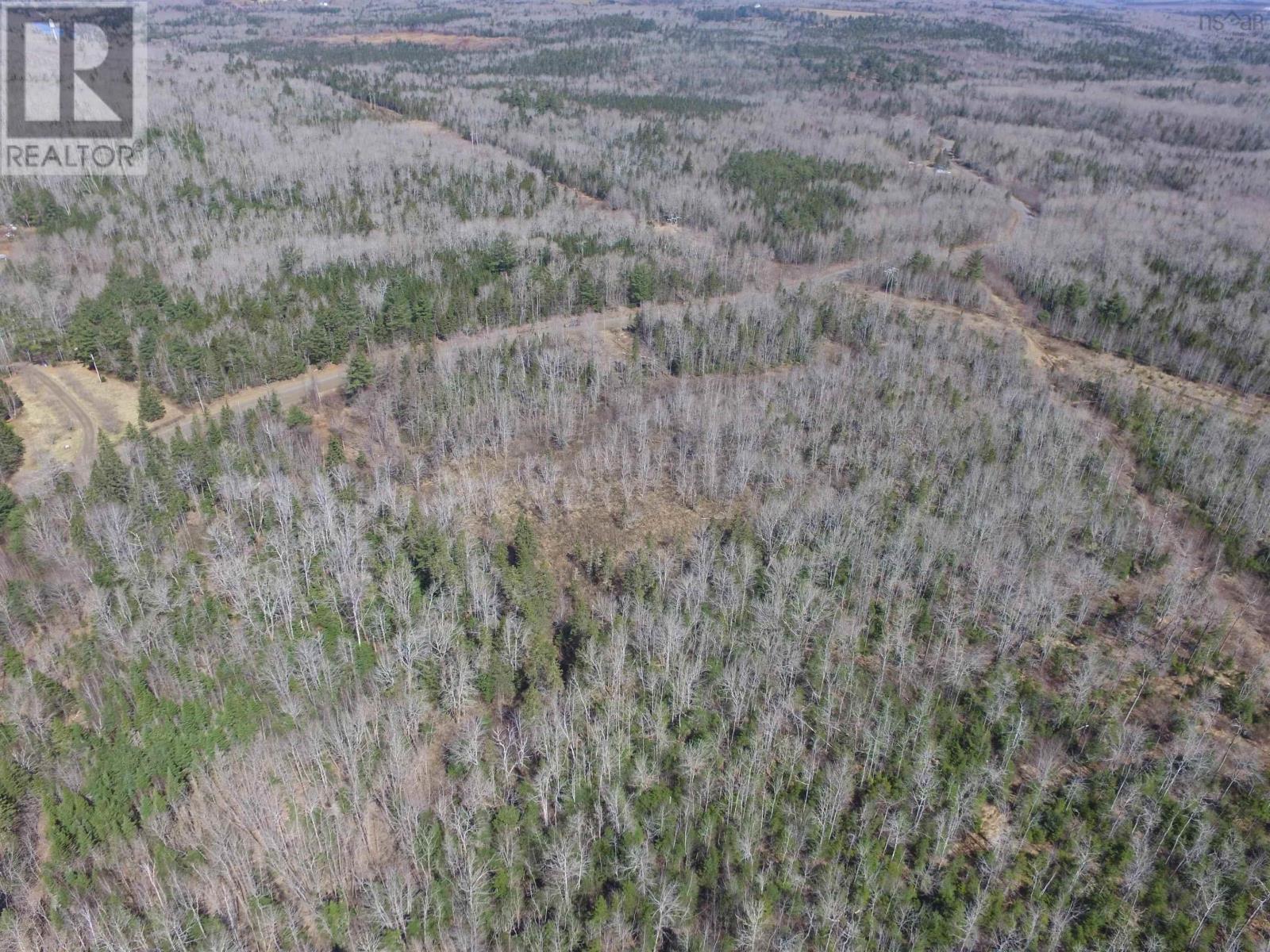 Lot Black River Road, Black River, Nova Scotia  B4P 2R1 - Photo 8 - 202406595