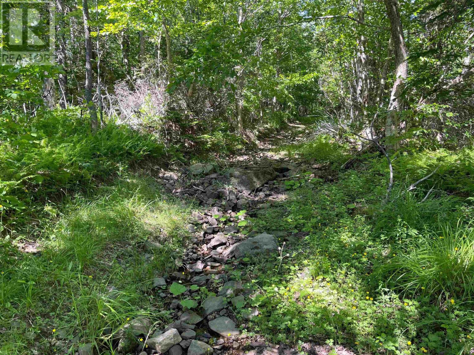 220 Lake Horton Road, Lexington, Nova Scotia  B9A 1T1 - Photo 12 - 202406599