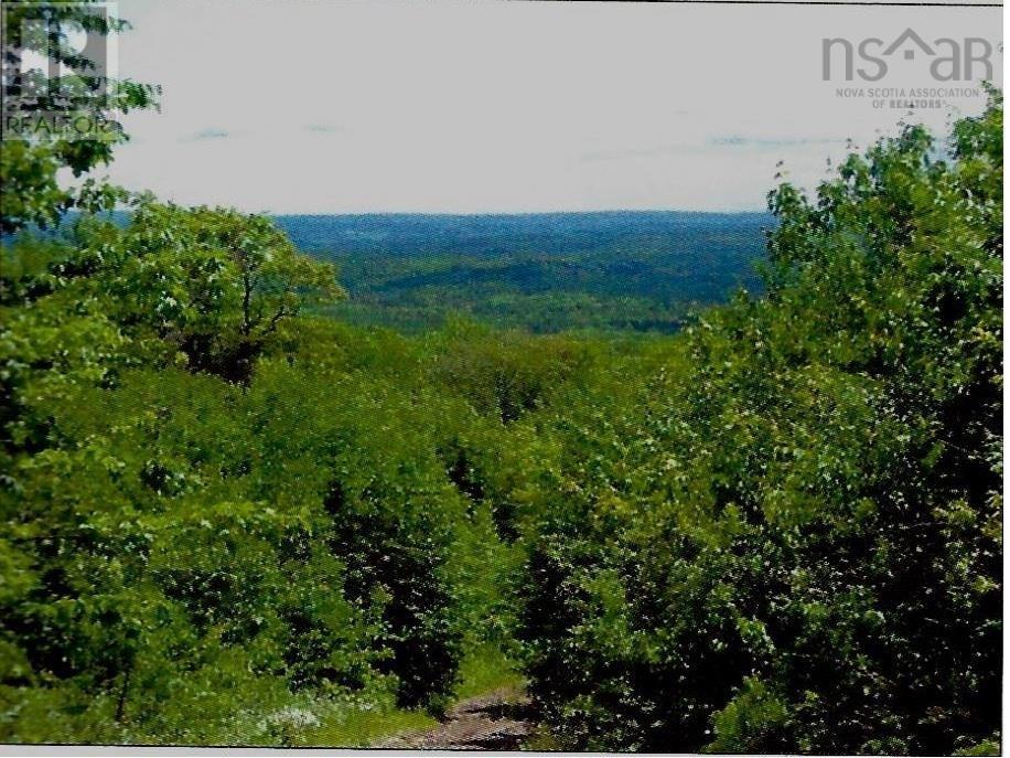 220 Lake Horton Road, Lexington, Nova Scotia  B9A 1T1 - Photo 5 - 202406599