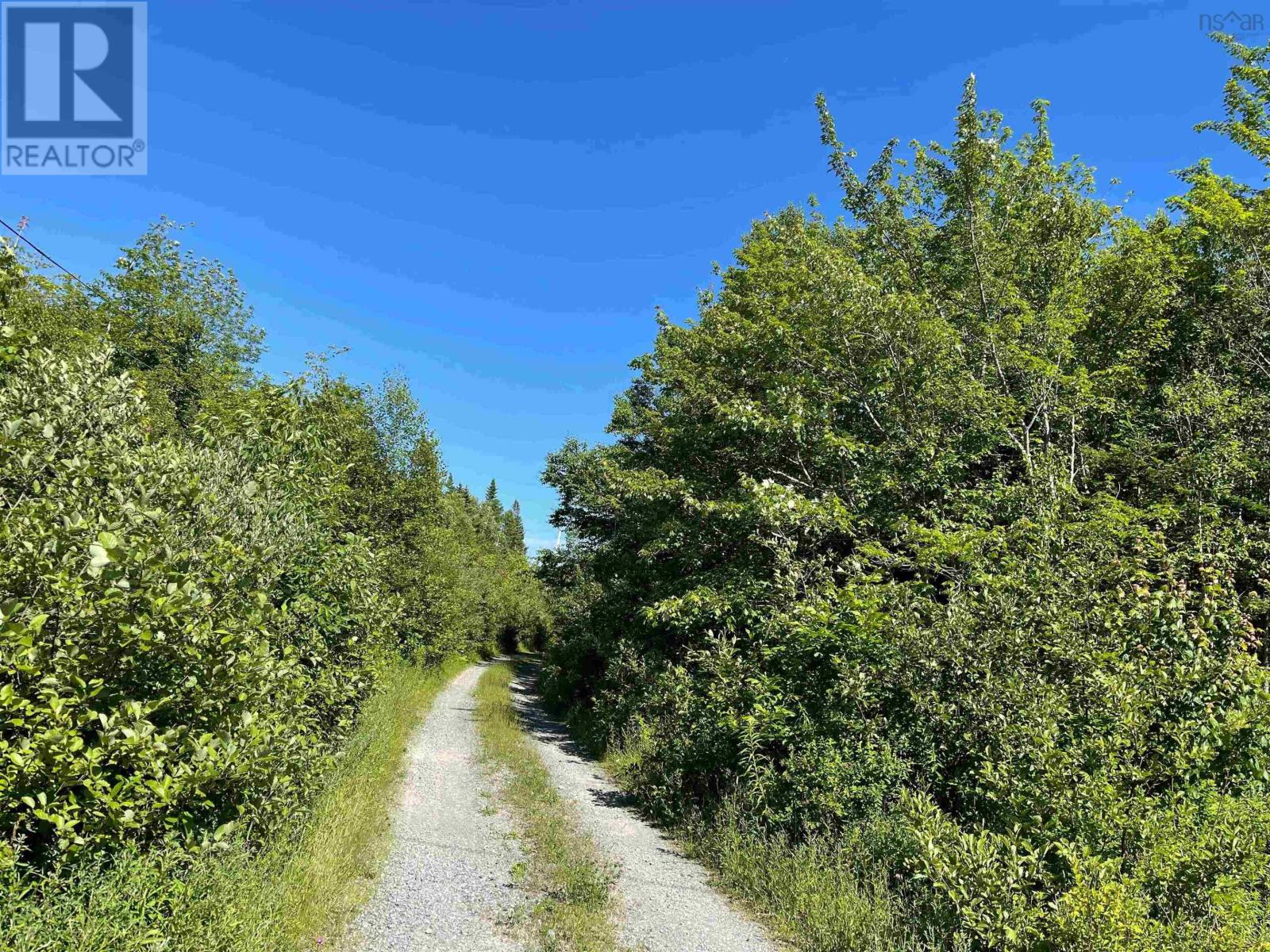 220 Lake Horton Road, Lexington, Nova Scotia  B9A 1T1 - Photo 6 - 202406599
