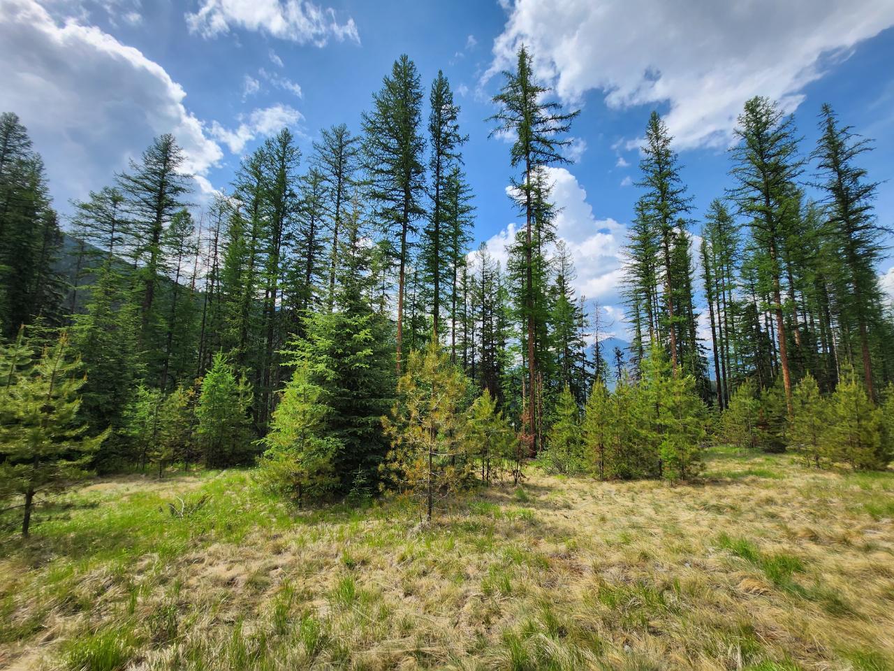 Lot 3 Whitetail Lake Road, Canal Flats, British Columbia  V0B 1B0 - Photo 32 - 2476007