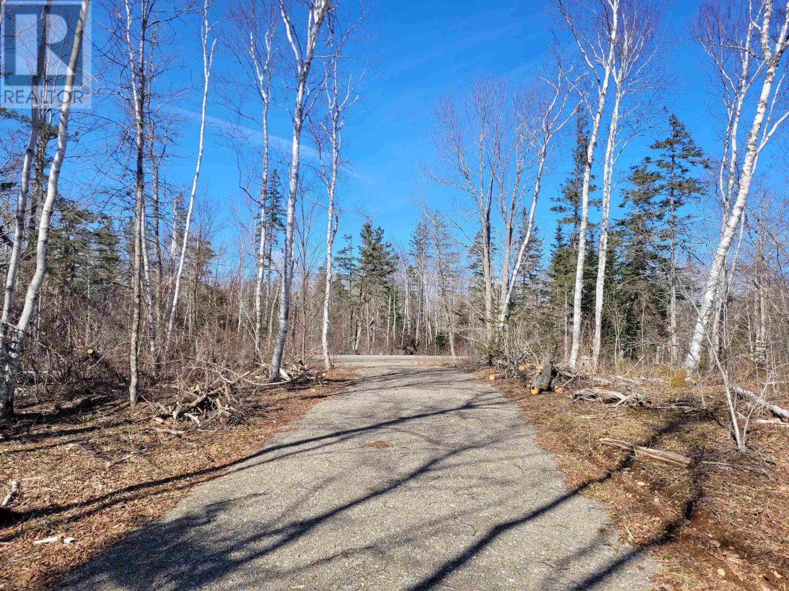 Lot Efl-3a Gospel Road, Arlington, Nova Scotia  B0P 1H0 - Photo 10 - 202404946