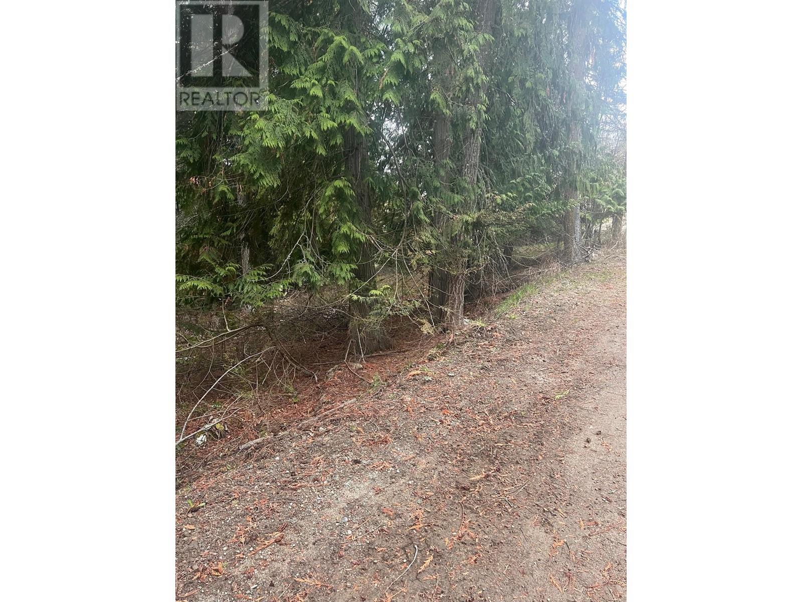 Lot 11 & 12 Golden Spur Trail, Anglemont, British Columbia  V0E 1M8 - Photo 2 - 10309222