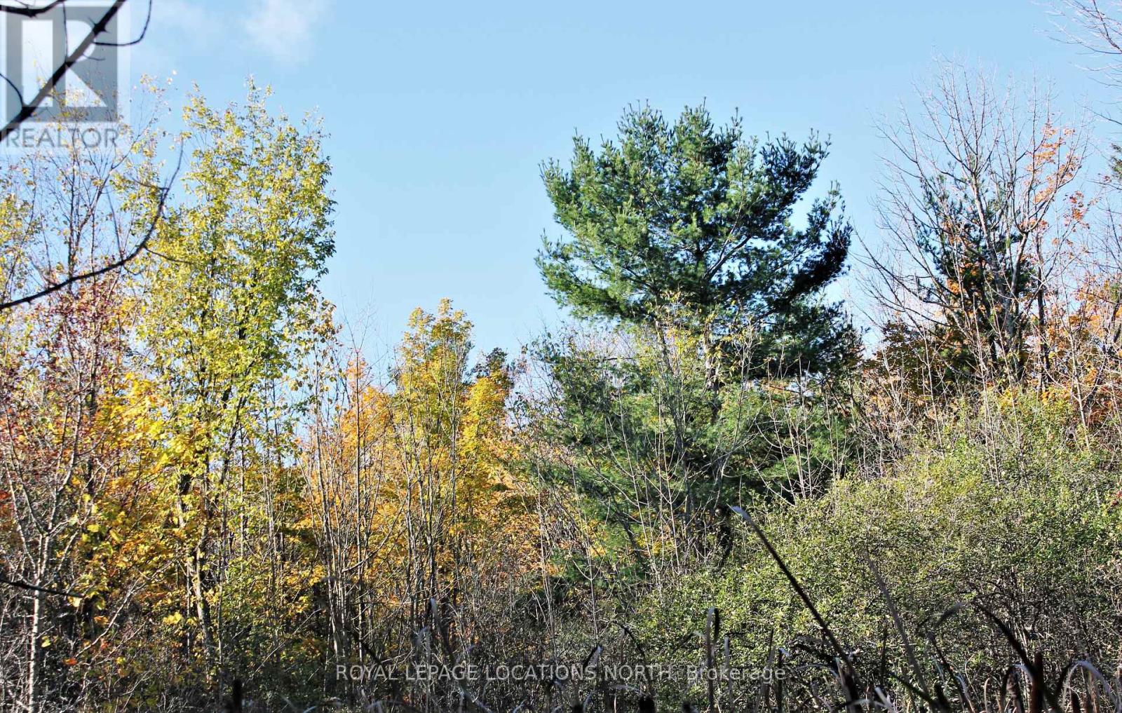 Part Lot 2 Concession 3, Meaford, Ontario  N4L 1W7 - Photo 17 - X8218020