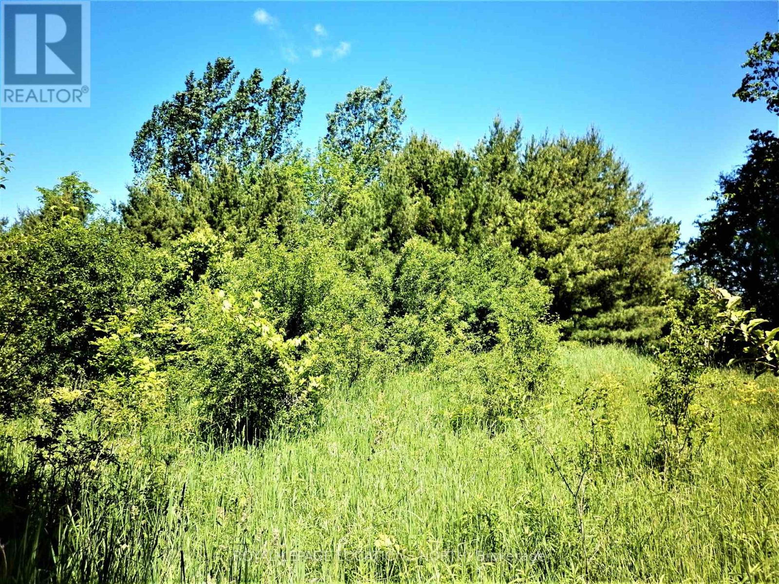 Part Lot 2 Concession 3, Meaford, Ontario  N4L 1W7 - Photo 29 - X8218020