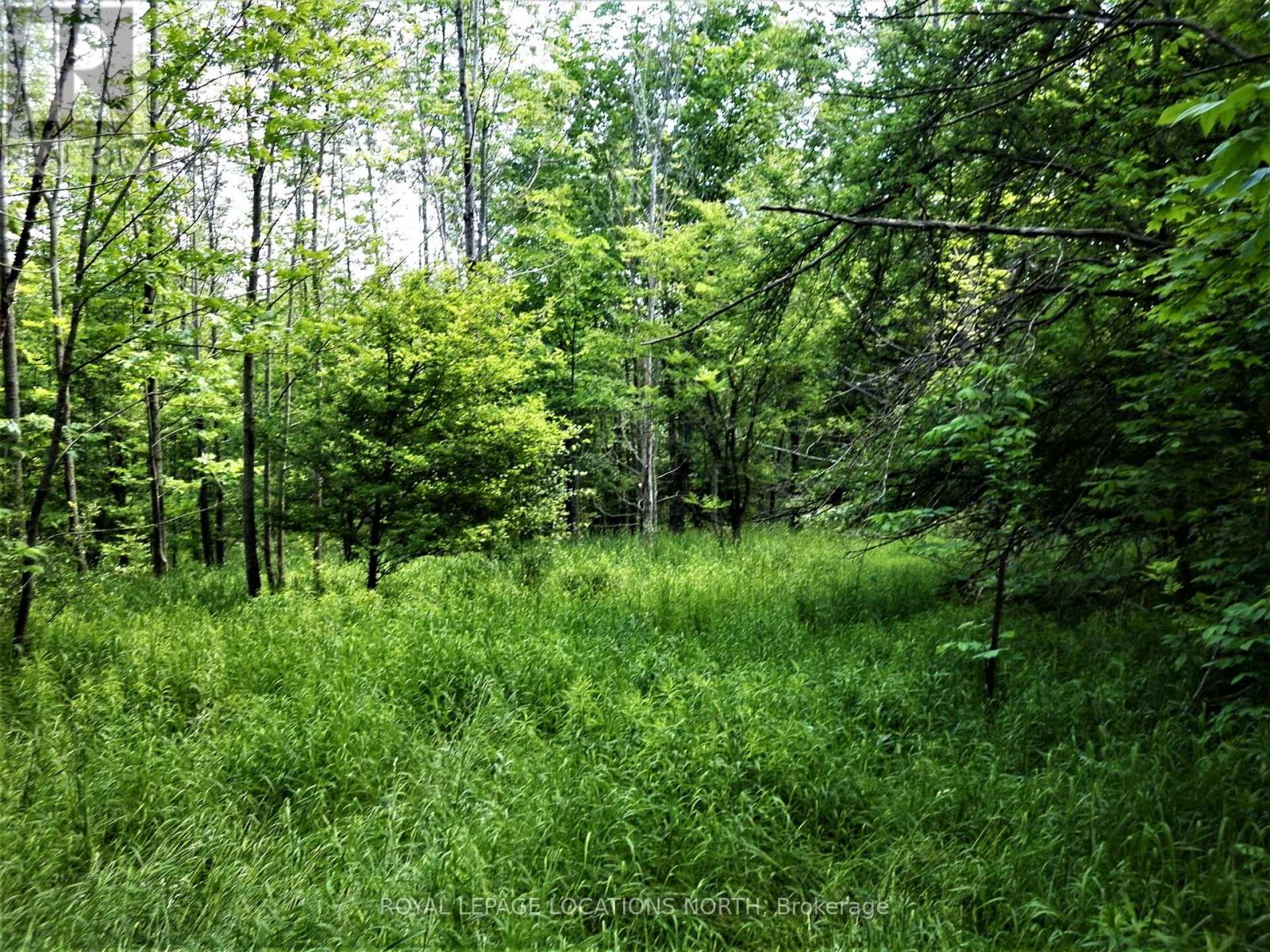 Part Lot 2 Concession 3, Meaford, Ontario  N4L 1W7 - Photo 30 - X8218020