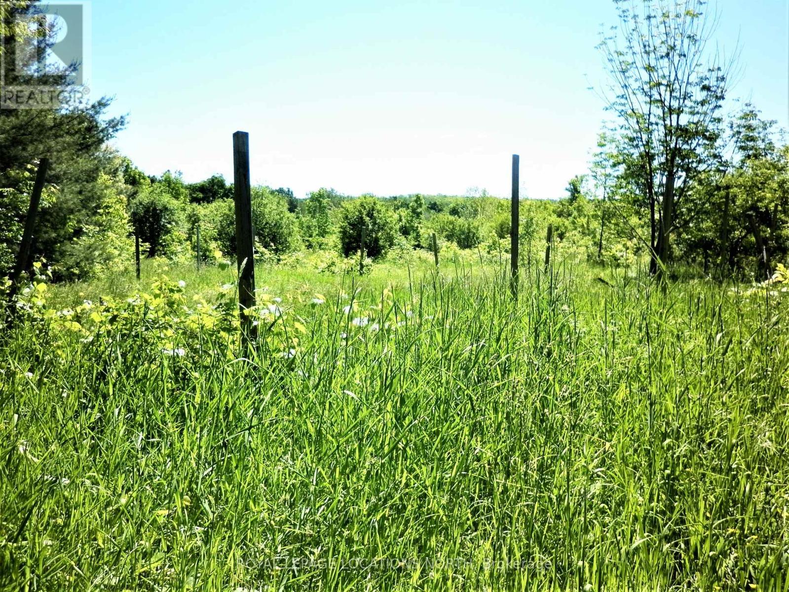 Part Lot 2 Concession 3, Meaford, Ontario  N4L 1W7 - Photo 34 - X8218020
