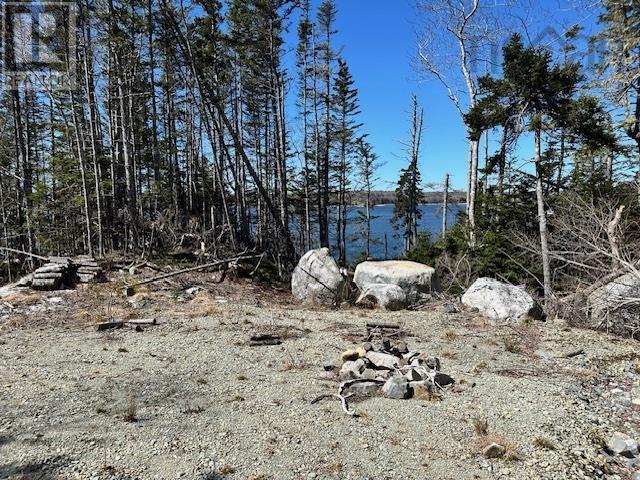 18 Stewarts Point Road, East Port L'hebert, Nova Scotia  B0T 1T0 - Photo 4 - 202406610