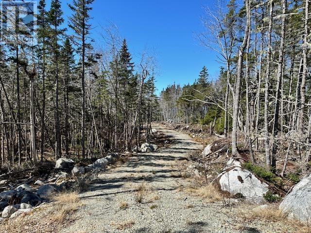 18 Stewarts Point Road, East Port L'hebert, Nova Scotia  B0T 1T0 - Photo 6 - 202406610