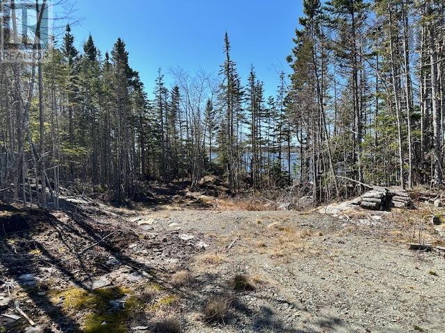 18 Stewarts Point Road, East Port L'hebert, Nova Scotia  B0T 1T0 - Photo 8 - 202406610