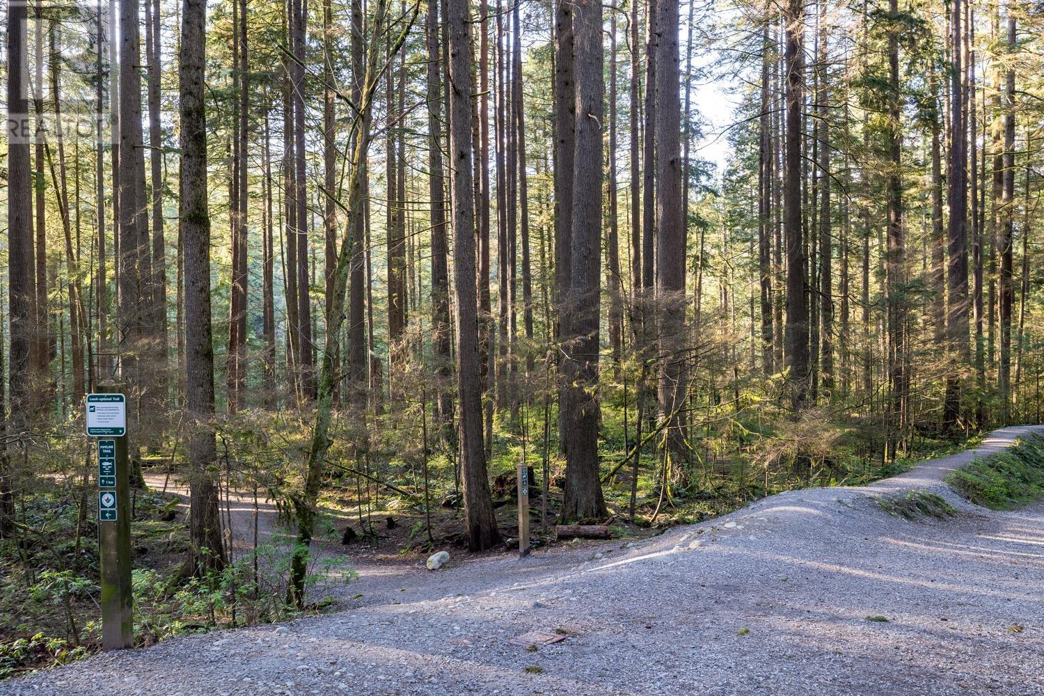 3670 Edgemont Boulevard, North Vancouver, British Columbia  V7R 2P7 - Photo 39 - R2868716