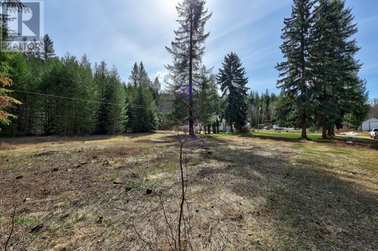 106e N. Thompson Highway E, Clearwater, British Columbia  V0E 1N2 - Photo 29 - 177697