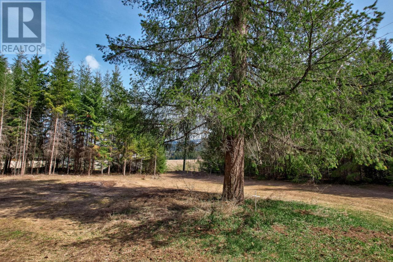 106e N. Thompson Highway E, Clearwater, British Columbia  V0E 1N2 - Photo 43 - 177697