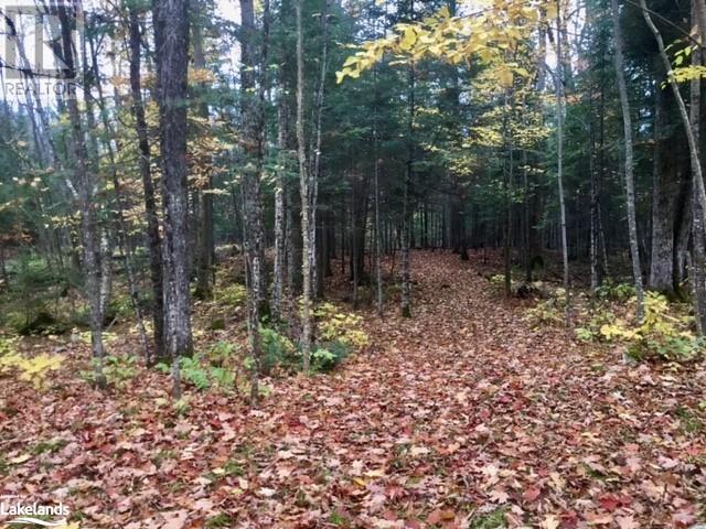 0 Pilgers Road, Commanda, Ontario  P0H 1J0 - Photo 12 - 40564570