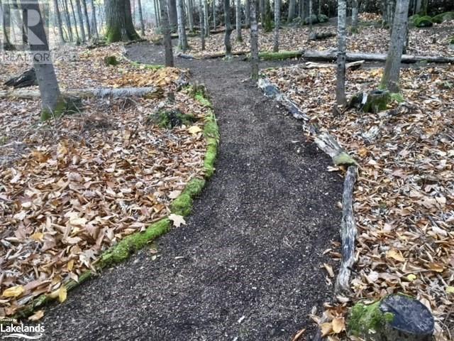 0 Pilgers Road, Commanda, Ontario  P0H 1J0 - Photo 14 - 40564570