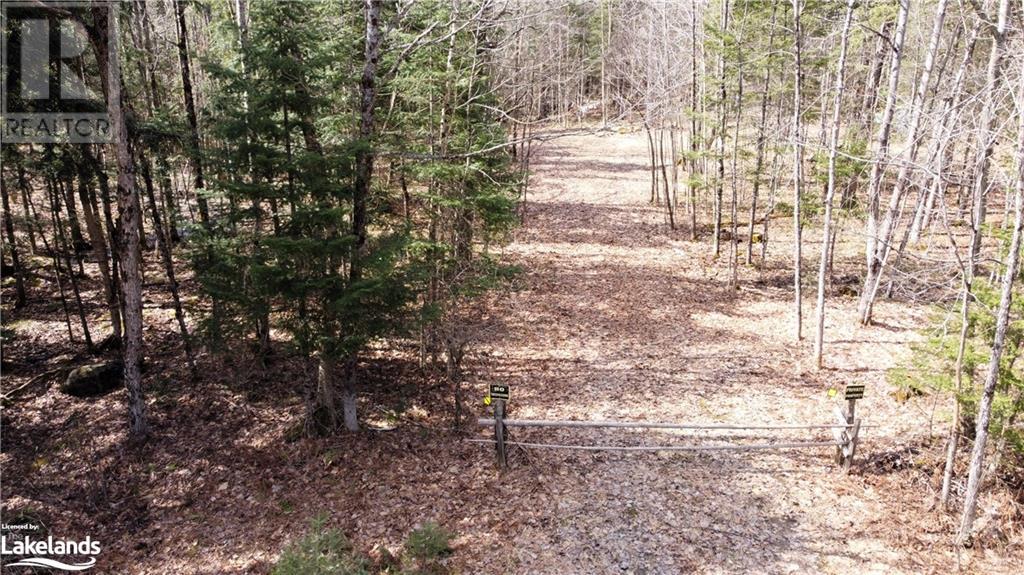 0 Pilgers Road, Commanda, Ontario  P0H 1J0 - Photo 3 - 40564570