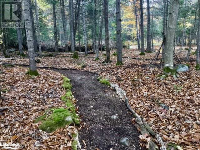 0 Pilgers Road, Commanda, Ontario  P0H 1J0 - Photo 10 - 40564570