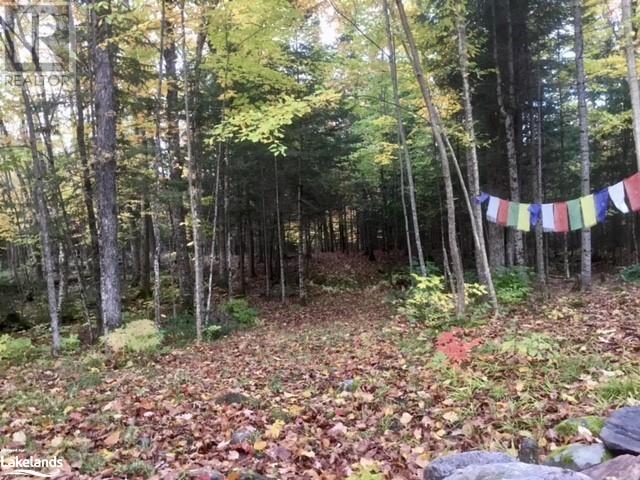 0 Pilgers Road, Commanda, Ontario  P0H 1J0 - Photo 7 - 40564570