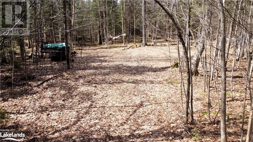 0 Pilgers Road, Commanda, Ontario  P0H 1J0 - Photo 5 - 40564570