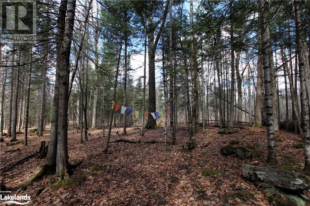 0 Pilgers Road, Commanda, Ontario  P0H 1J0 - Photo 30 - 40564570