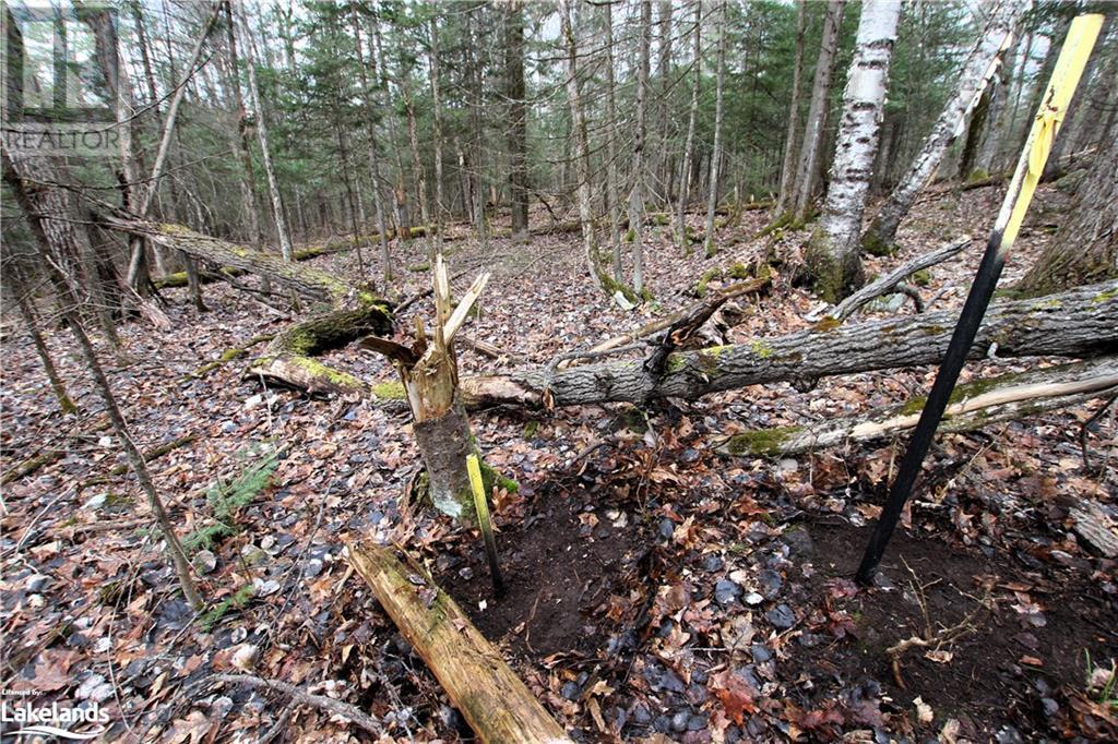 0 Pilgers Road, Commanda, Ontario  P0H 1J0 - Photo 31 - 40564570