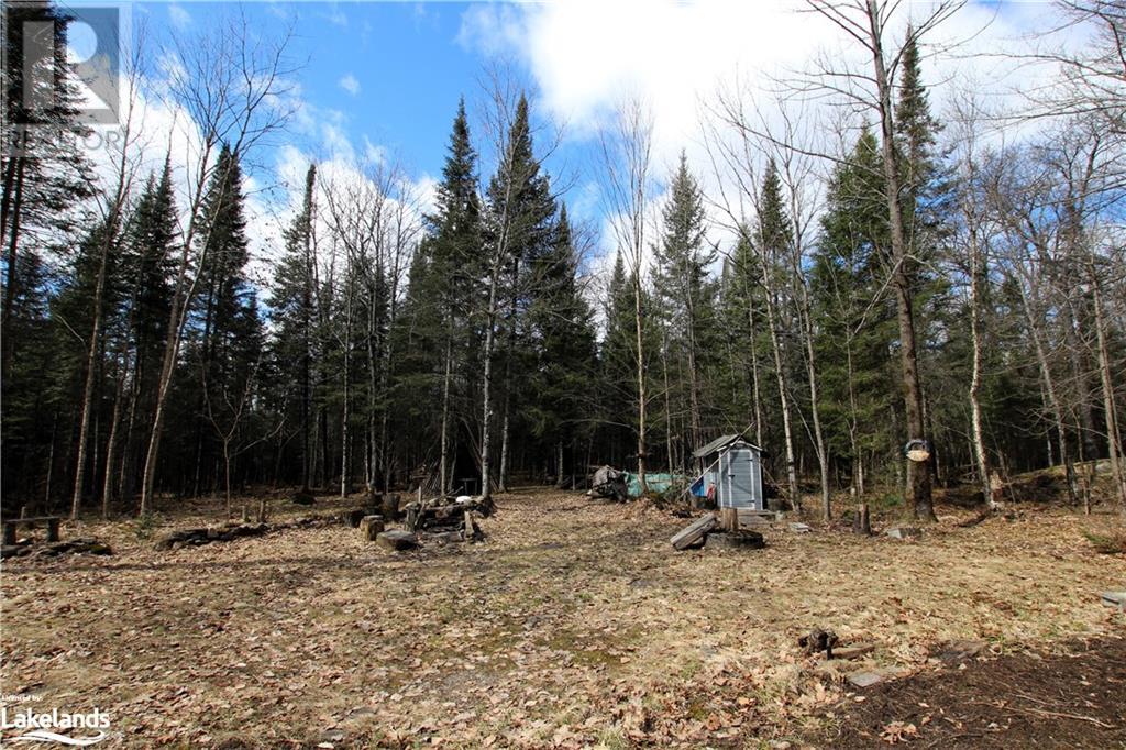 0 Pilgers Road, Commanda, Ontario  P0H 1J0 - Photo 27 - 40564570