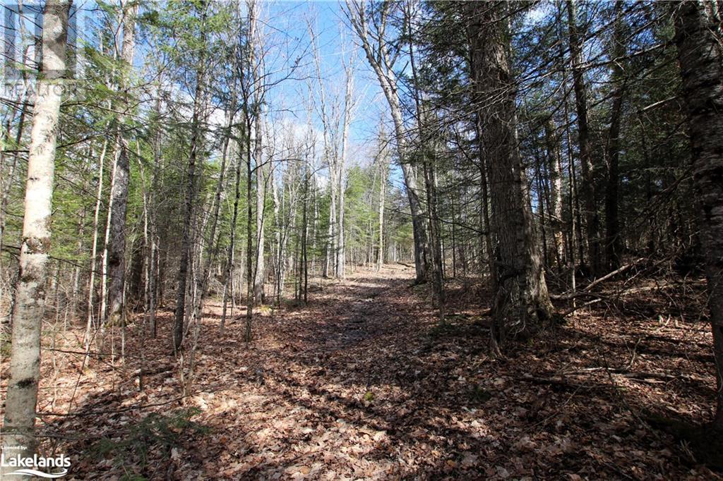 0 Pilgers Road, Commanda, Ontario  P0H 1J0 - Photo 28 - 40564570