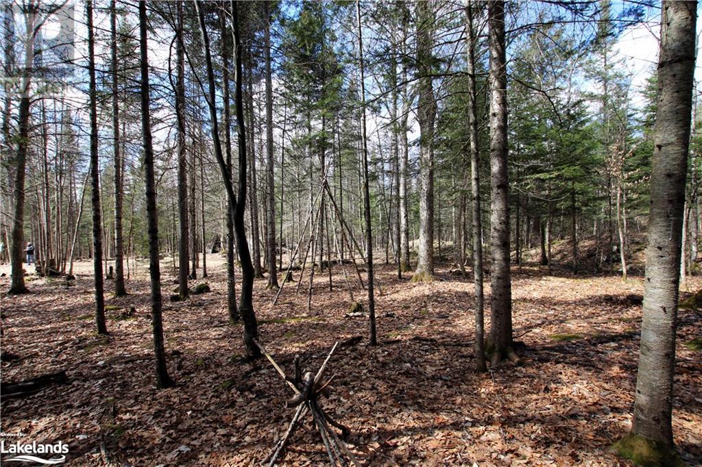 0 Pilgers Road, Commanda, Ontario  P0H 1J0 - Photo 29 - 40564570