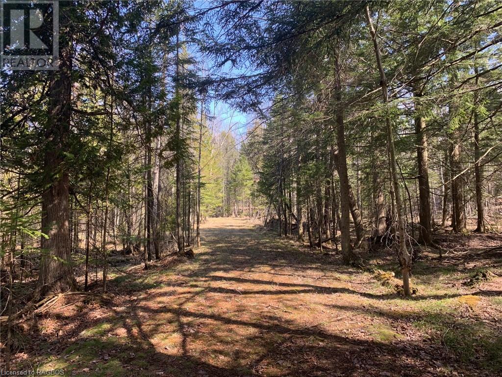 503125 Grey Road 12, West Grey, Ontario  N0G 1R0 - Photo 12 - 40569041