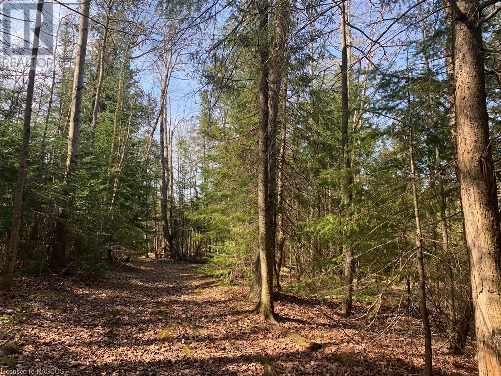 503125 Grey Road 12, West Grey, Ontario  N0G 1R0 - Photo 13 - 40569041