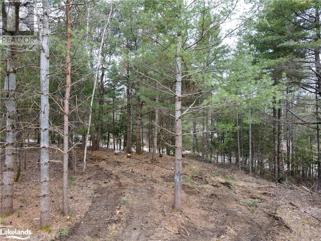 0 Old Muskoka Road Unit# Lot 2, Emsdale, Ontario  P0A 1J0 - Photo 8 - 40568412