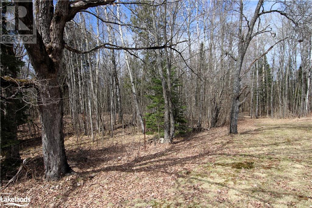 7320 Highway 522, Golden Valley, Ontario  P0H 1W0 - Photo 41 - 40568407