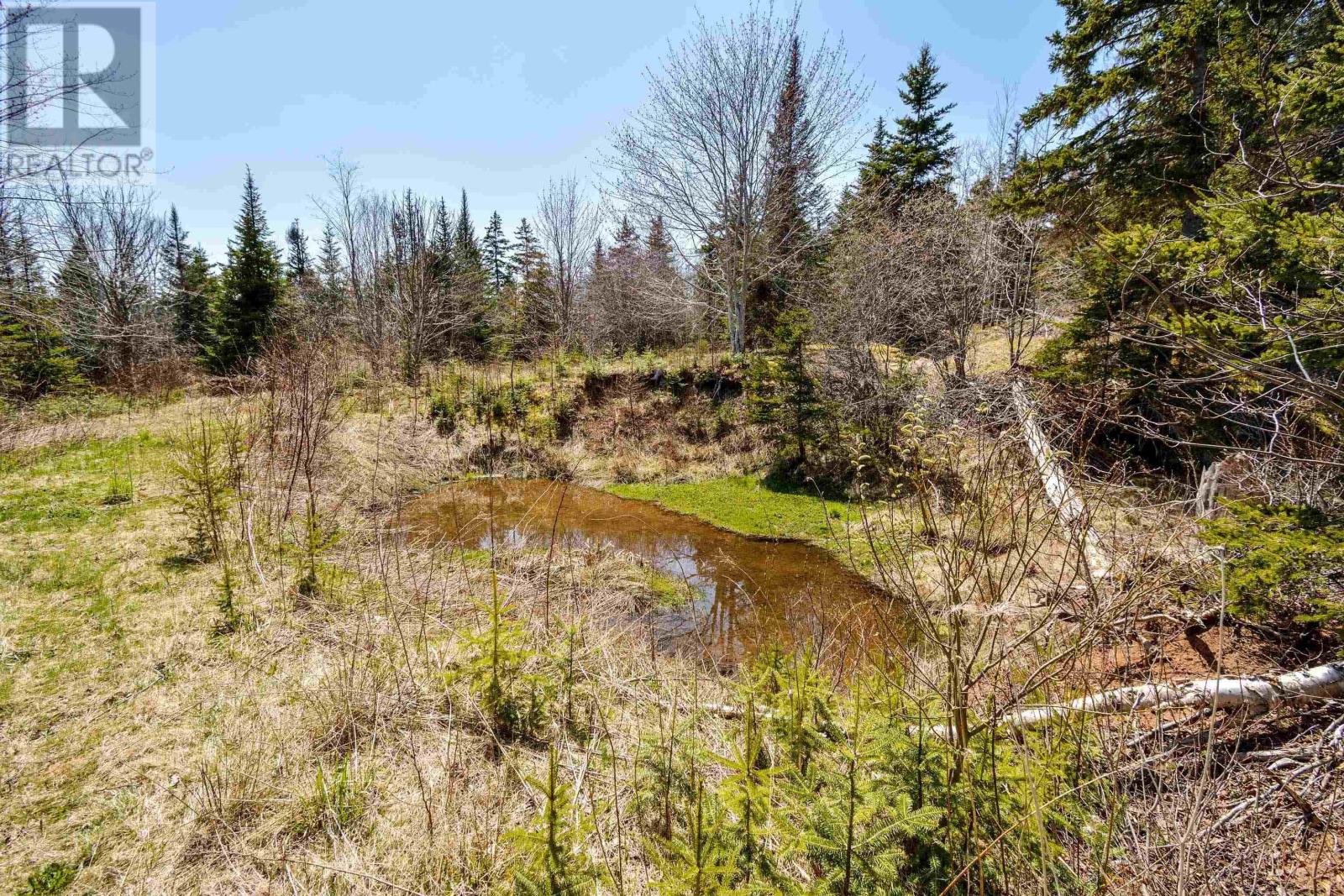 Kempt Head Road, Boularderie, Nova Scotia  B1Y 2P8 - Photo 34 - 202406715