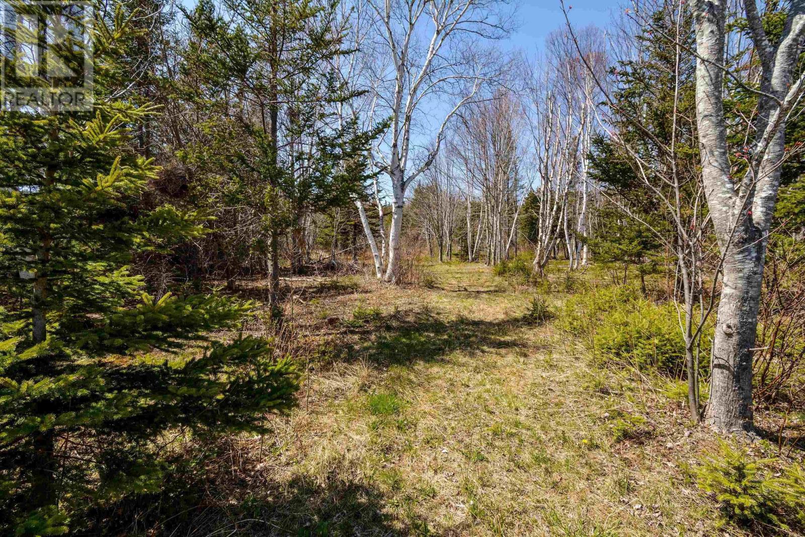 Kempt Head Road, Boularderie, Nova Scotia  B1Y 2P8 - Photo 44 - 202406715