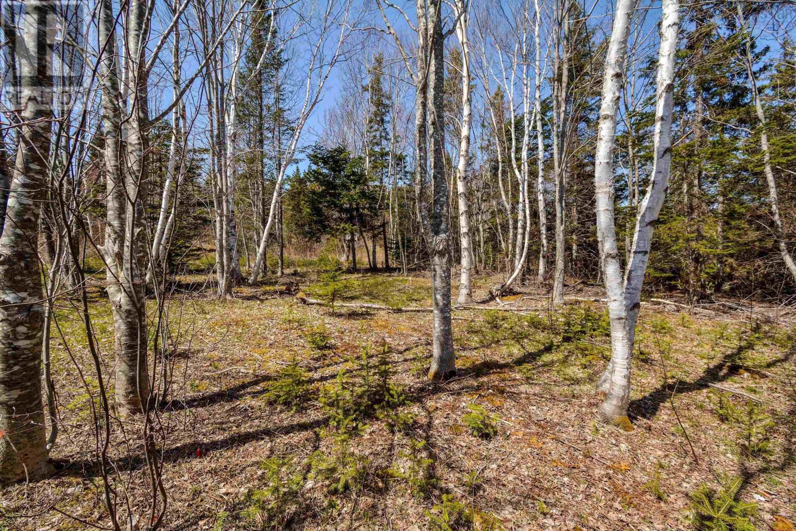 Kempt Head Road, Boularderie, Nova Scotia  B1Y 2P8 - Photo 45 - 202406715
