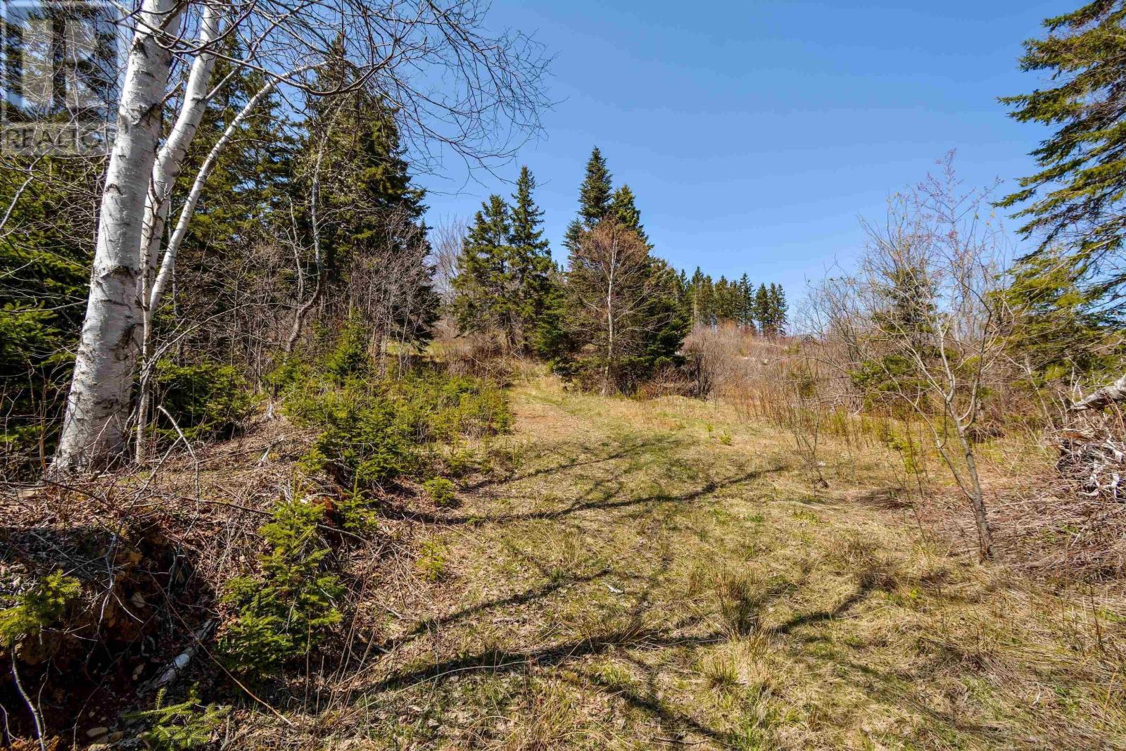 Kempt Head Road, Boularderie, Nova Scotia  B1Y 2P8 - Photo 46 - 202406715